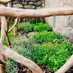 Casas Do Calhau Miudo - * Seixal (Madeira)