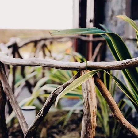 Casas Do Calhau Miudo -